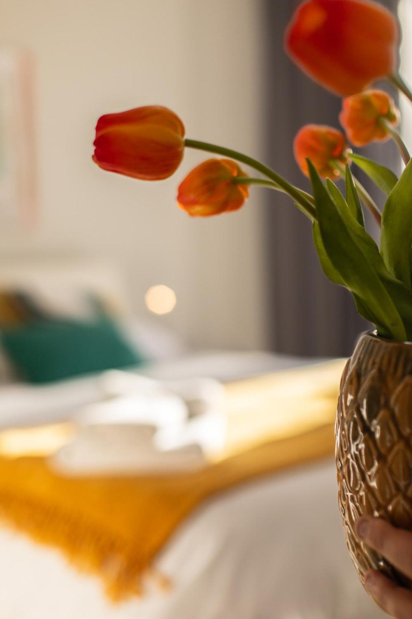 Veigas De Iria - Apartamento Turistico Vut Padrón エクステリア 写真